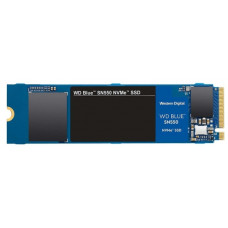 Western Digital WD Blue SN550 1 TB (WDS100T2B0C