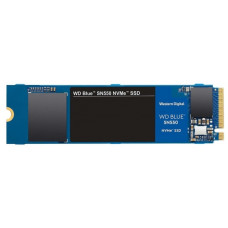 Western Digital WD Blue SN550 500Gb (WDS500G2B0C)